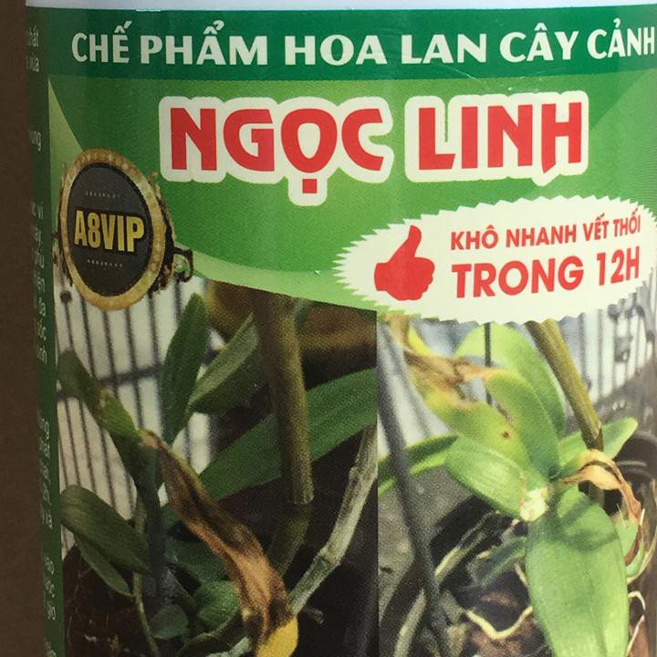 Chế phẩm đặc trị bệnh thối nhũn Ngọc Linh 12H A8VIP cho hoa phong lan, cây cảnh chai 250ml