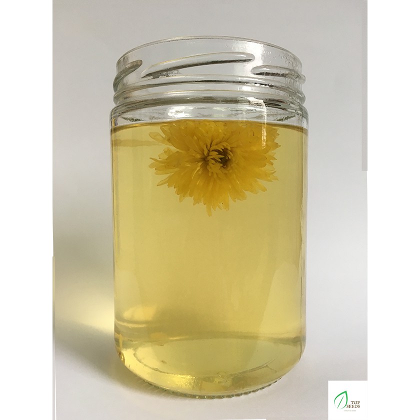 Trà Hoa Cúc Đường Phèn Mật Ong 1 viên | BigBuy360 - bigbuy360.vn