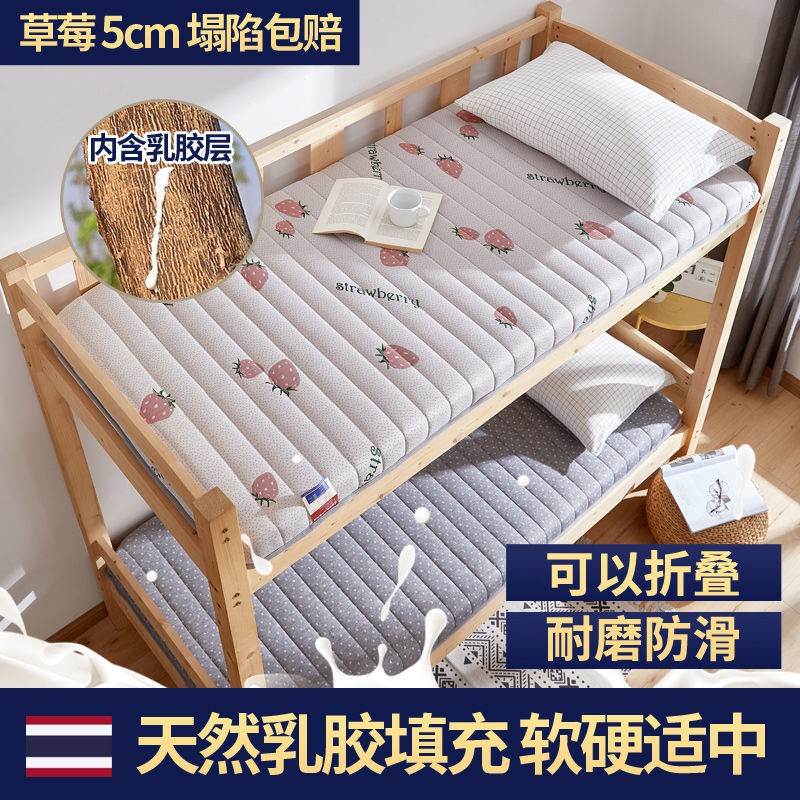 Nam Cực Bọt biển cao su Nệm Tatami Giường đơn ngủ tập thể Dày 0,9m Mét sinh viên