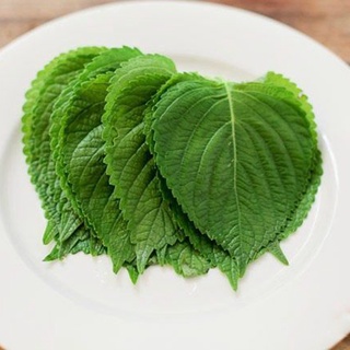 Combo 6 loại hạt giống rau thơm (hành hương+lá mè+húng quế+ngò rí+ngò gai+tía tô