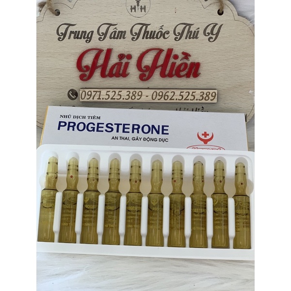 1 hộp Progesterone 2ml x 10 ống - A.n Th.ai cho heo, chó, mèo, trâu, bò, ngựa, dê, cừu