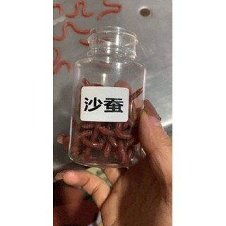 Mồi Giun Giả 3D 1 lọ