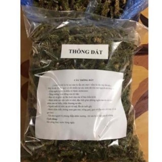1kg cây thông đất khô hàng loại 1 GT108