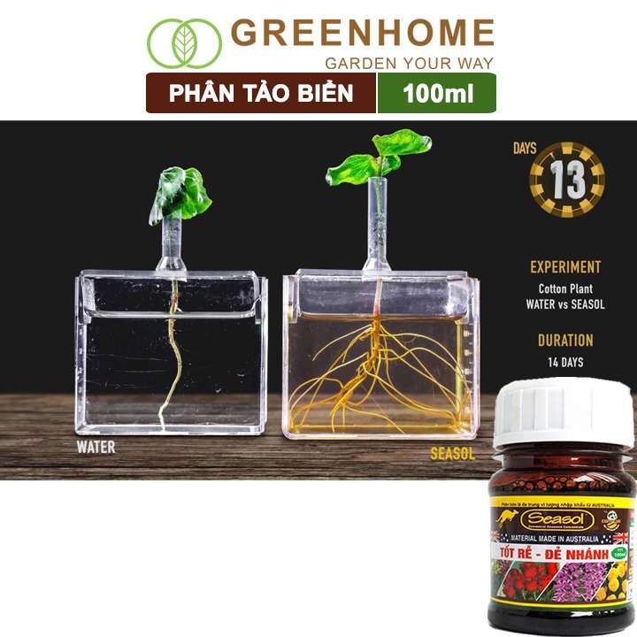 Phân bón lá tảo biển Greenhome, chai 100ml, làm từ tảo biển, tốt rễ, kích đẻ nhánh nhiều, cành to