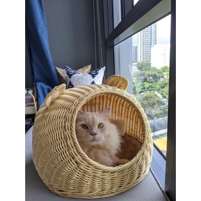 Ổ Nằm Cho Mèo Nhà Cho Mèo Bằng Nhựa Giả Mây Siêu Dễ Thương - Miki Petshop