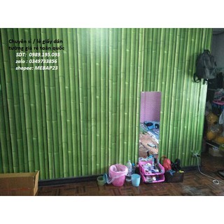 ( tặng kèm dụng cụ) combo 10m giấy dán tường tre 3d xanh