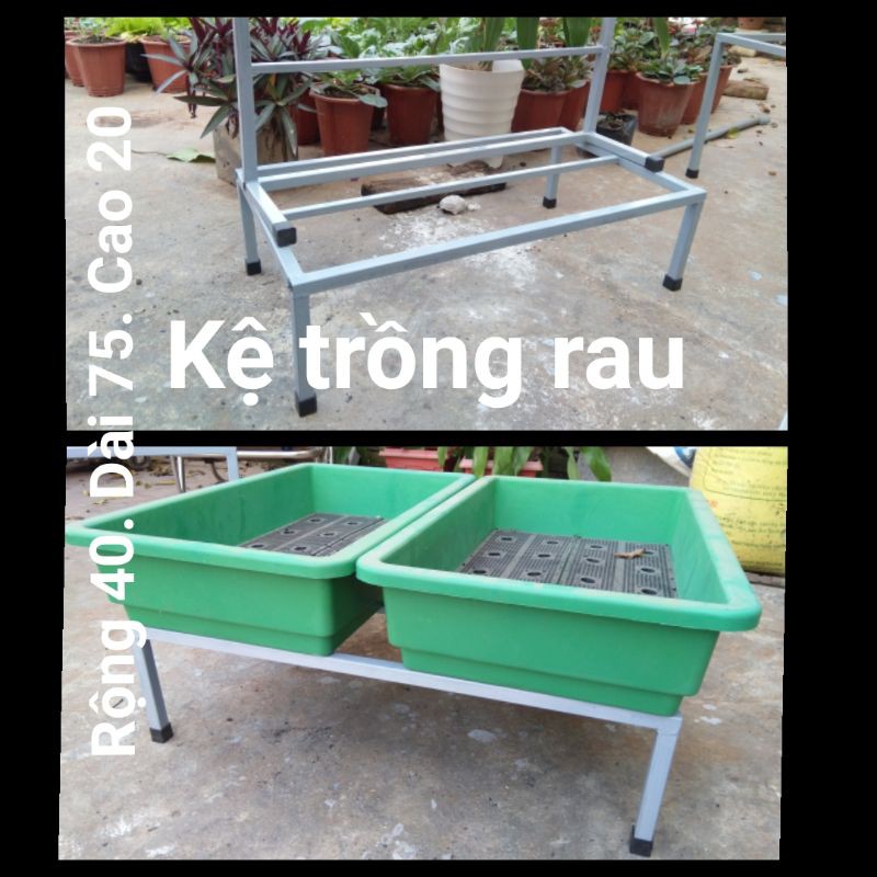 Kệ Trồng Rau Sạch. dài 75cm rộng 40cm. 1 nạn phụ-Kệ đôi 2 chậu/1kệ-Hộp kẽm chống rỉ 20mm*20mm