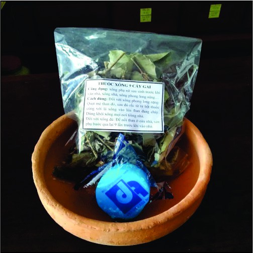 09 loại cây lá gai xông sản phụ, xông phong long nặng Vạn Sanh (Tặng kèm cồn khô tiện lợi + muối hột) | BigBuy360 - bigbuy360.vn