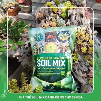 Đất trồng sen đá, xương rồng bao 6kg - Soil mix