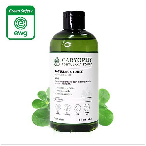 [Mã giảm giá] Nước hoa hồng giảm mụn thâm Caryophy Portulaca Toner 300ml + Son thỏi Gani O! Stick (màu ngẫu nhiên)