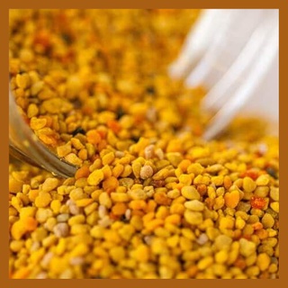 Phấn hoa mật ong 500gr