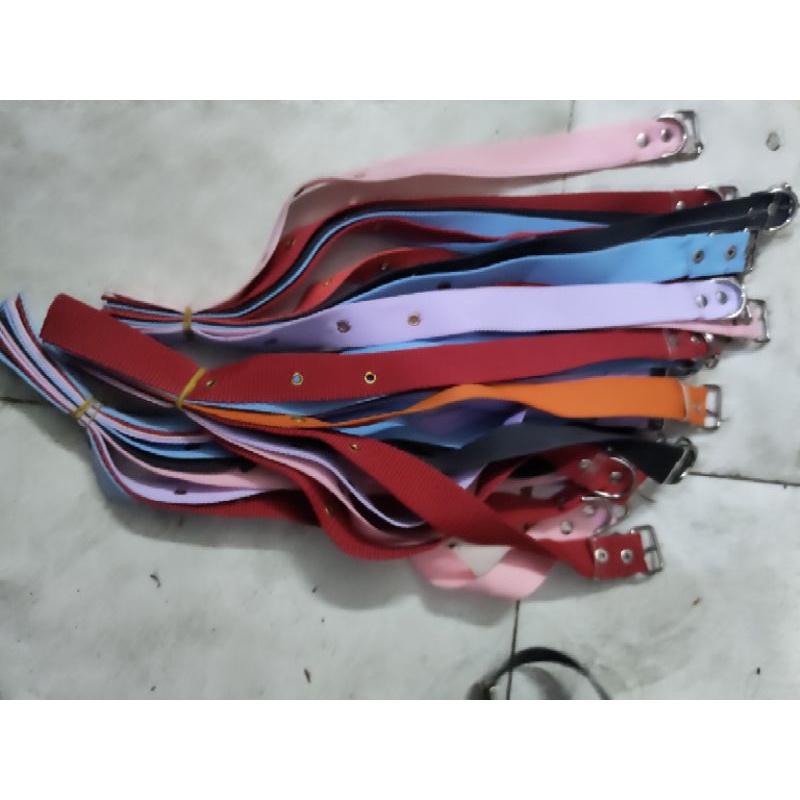 Dây xích chó 2li 4li,vòng cổ chó