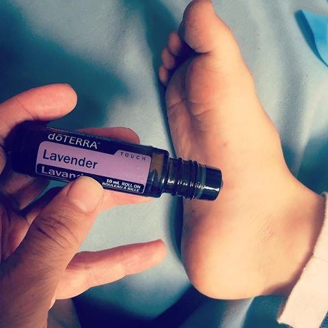 Tinh Dầu Oải Hương Bi Lăn Tinh Dầu Nguyên Chất doTERRA  - doTERRA Essential Oil Laverder Touch 10ml