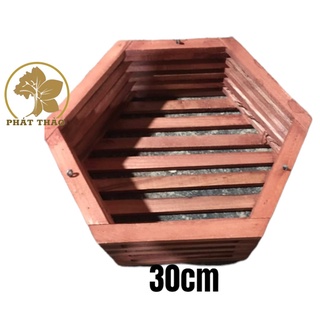 Chậu gỗ lục giác trồng lan size đk 30cm - ngọc điểm, đai trâu, lan rừng - gỗ cà chắc