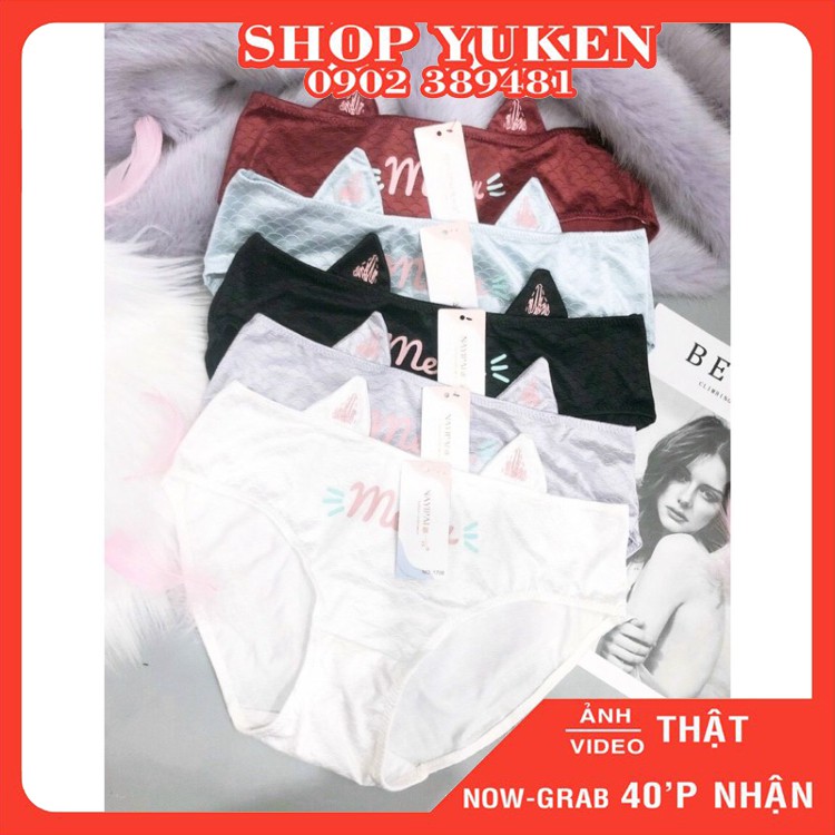 ♥️  Quần Lót Nữ  ♥️ Combo 3 Quần Lót Kiểu Tai Mèo - cô gái Xinh Siêu Mát Lạnh.