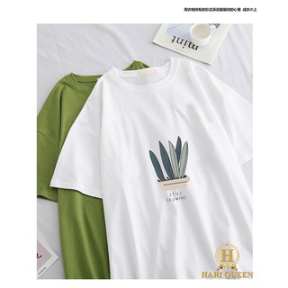 Áo phông chậu cây lá Still HARI0420