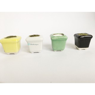 Chậu sứ mini trồng sen đá, làm handmade, hoa pha lê, hoa đất sét (KT 3cm)