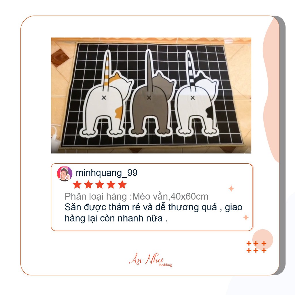 Thảm chùi chân 💖40x60cm💖 thảm lau chân 3D, tấm trải sàn An Như