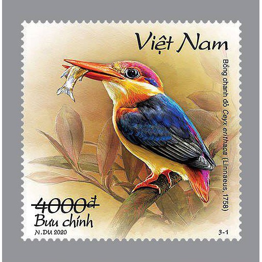 Tem sưu tập MS 1135 Tem Việt Nam Chim bói cá 2020