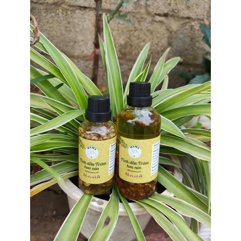 Tinh dầu tràm hoa nén MaMa.chai 100ml