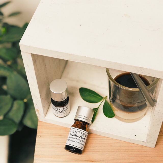 TINH DẦU MÀNG TANG