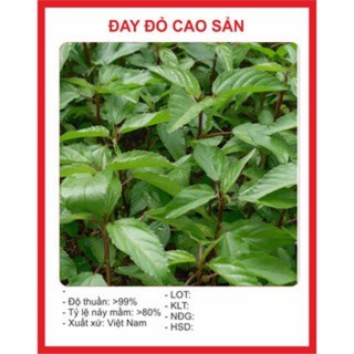 Hạt Giống Rau Đay Đỏ gói nhiều hạt gói 10 gram, gieo trồng đơn giản, cây sinh trưởng tốt R019