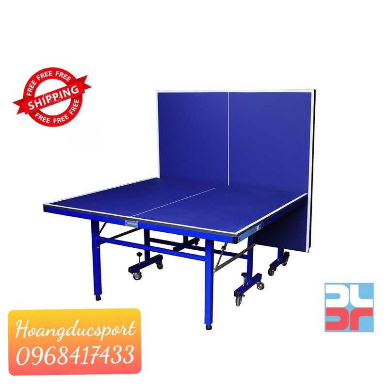 BÀN BÓNG BÀN ĐỨC LONG PT-04