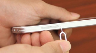 Cây chọt sim