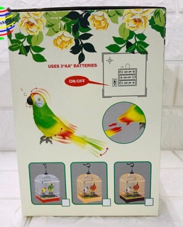 Lồng chim biết hát - Đồ chơi trẻ em