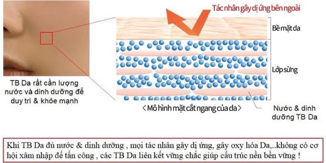💞 Mặt nạ siêu cấp ẩm AQUA STEMGEL 250ML .