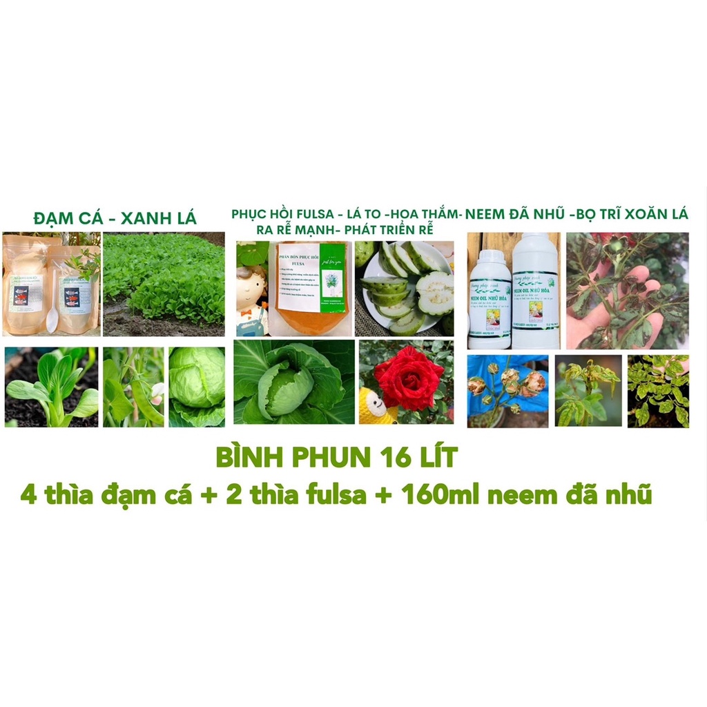 PHỤC HỒI FULSA 250 LÍT 500 LÍT TƯỚI PHUN