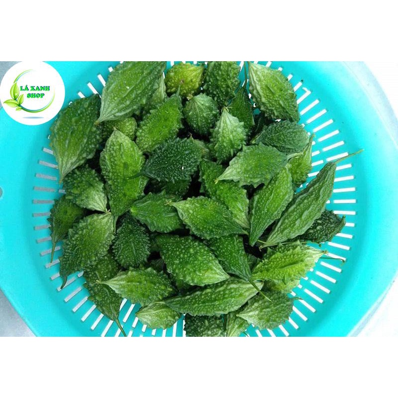 Hạt giống Khổ Qua Rừng, Trái Sai, Kháng Bệnh Tốt, Trồng Quanh Năm (gói 1 gram) - Hạt giống Rạng Đông