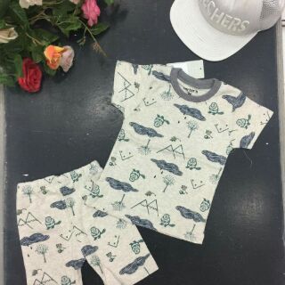 Combo Đồ bộ Carter bé trai