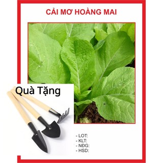 Hạt giống Cải Mơ 20gr A 1. Tặng Bộ Dụng Cụ Mini Trồng Cây Tặng Bộ Dụng Cụ Mini Trồng Cây