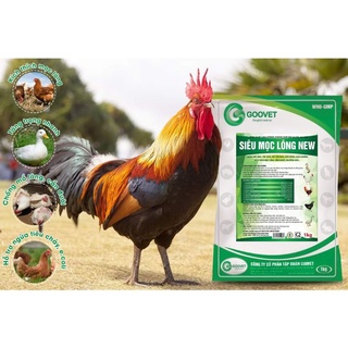 Siêu mọc lông- chống mổ lông, cắn đuôi, lông mượt, da hồng, nứt móng cho gà đá, gà tre, gà chọi, gà cảnh, vịt