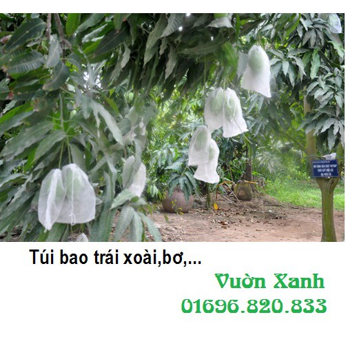 100 túi bọc xoài, thanh long, ... kich thước 20x28 cm