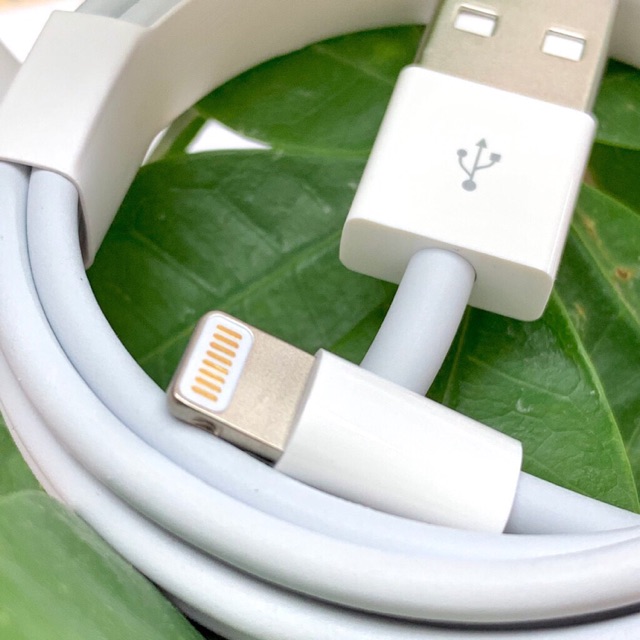 Cáp sạc iPhone 1m