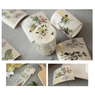 (Chu kỳ) Băng dính trang trí washi tape vintage chữ mạ