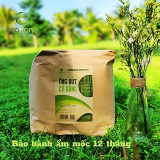[bảo hành ẩm mốc] Túi 1000 Ống Hút cỏ bàng khô tiêu chuẩn xuất khẩu dùng cho quán cafe- Grass Straws