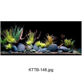Tranh bể cá 3D kt 150x60cm