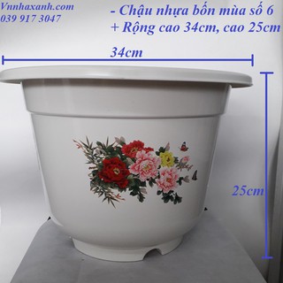 Set 10 chậu nhựa trồng hoa bốn mùa số 6-ĐK 34cm