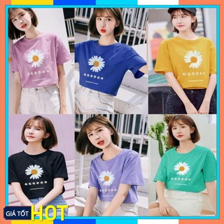 Áo Thun Nữ 👑FREESHIP👑 Áo Phông Nữ in hoa cúc, sắc nét, màu bền, vải mát, chất mịn Mã Áo M87 ་