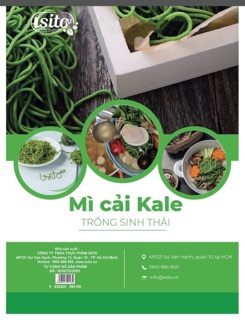 Mỳ cải Kale Isito 500g