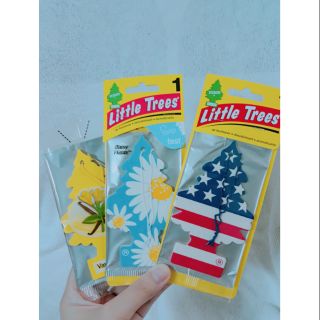 Cây thông thơm LITTLE TREES