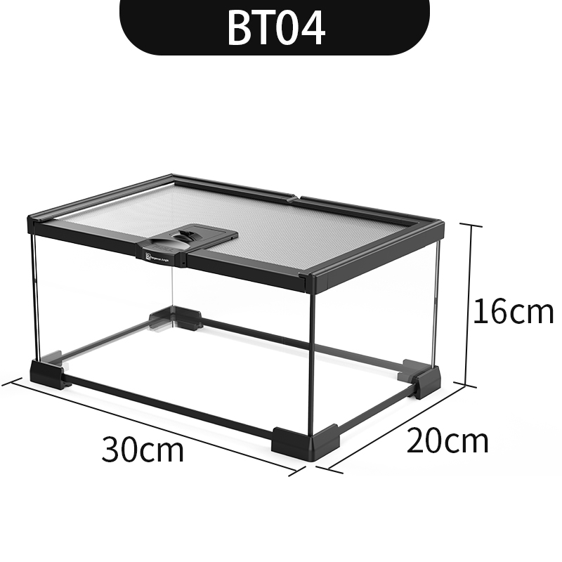 Bể Thủy tinh nhân vật bò sát, bể nuôi Thằn Lằn