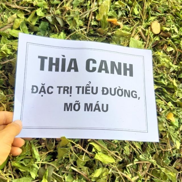 1kg Dây thìa canh trị tiểu đường, mỡ máu