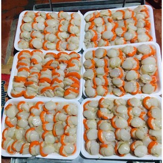 Điệp tách vỏ khay 500gr