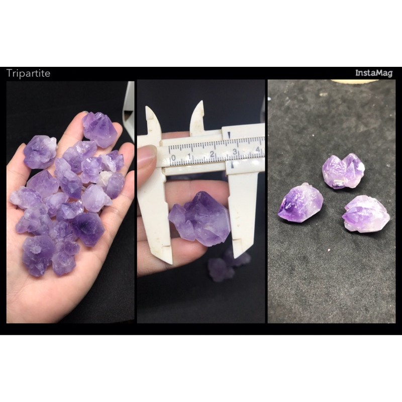 Mầm tím thô viên 2-3cm | BigBuy360 - bigbuy360.vn