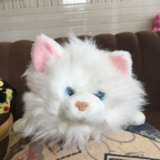 Gấu bông mèo giống thật