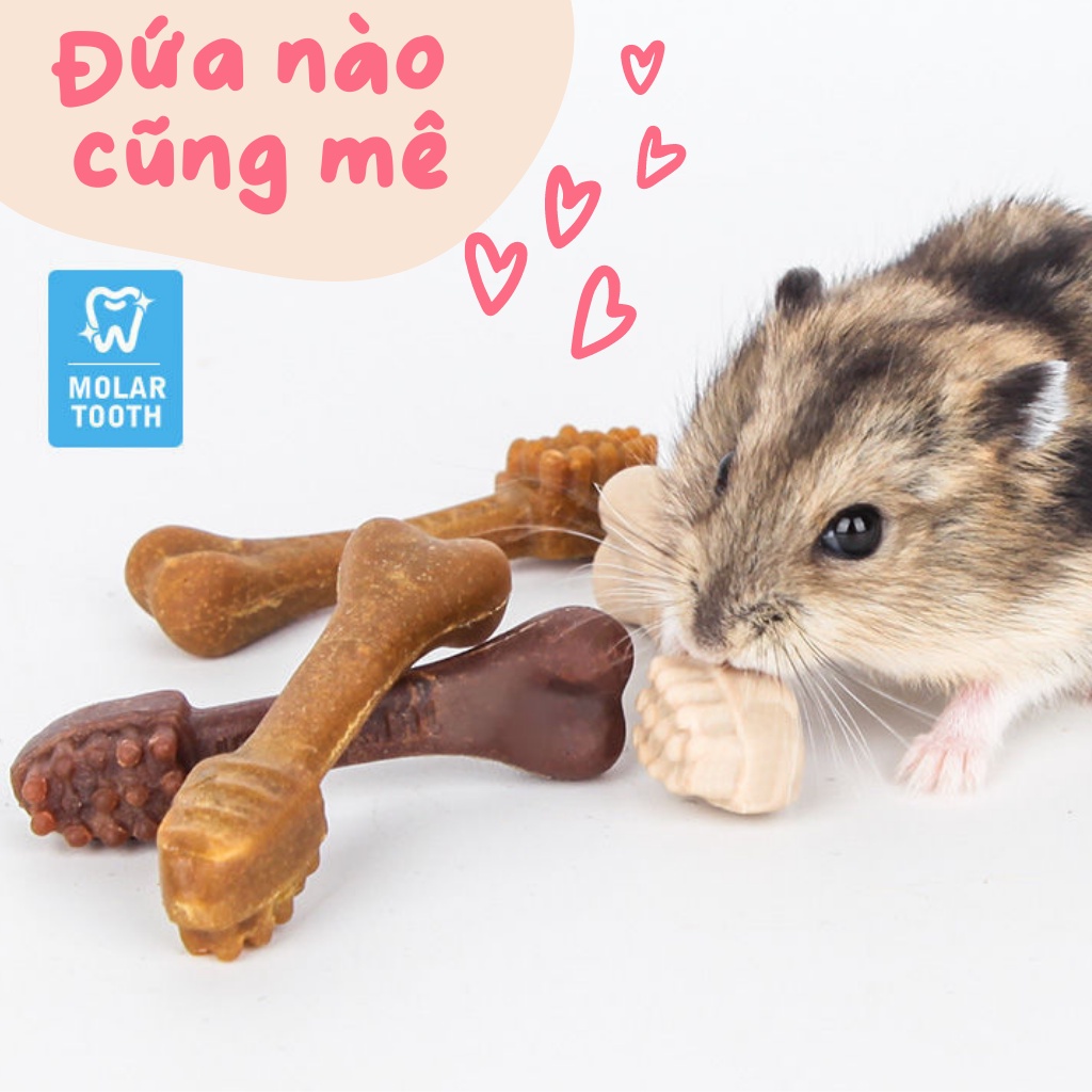 Mài răng hamster chiết lẻ 1c JONSANTY vị thit bò thơm ngon